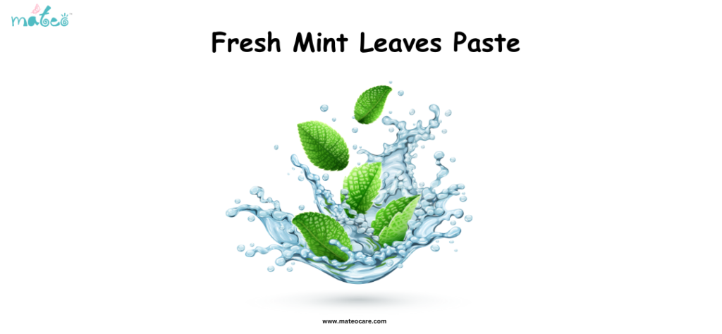 Mint Leaves