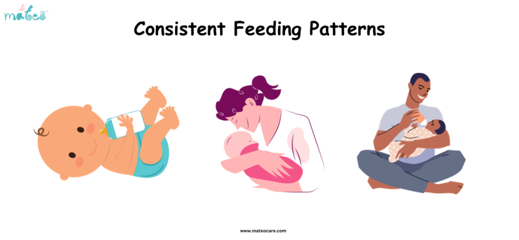 Feeding Patterns