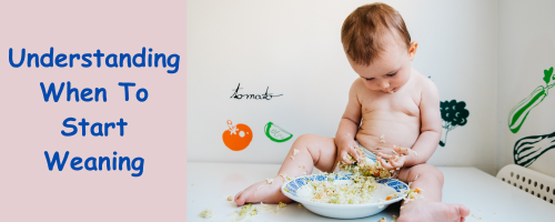 Understanding When To Start Weaning