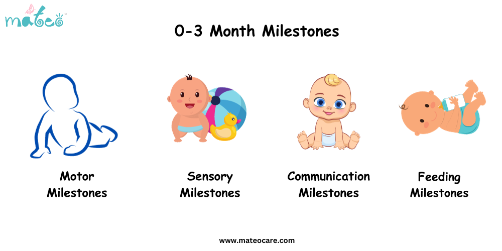 0-3 Month Milestones