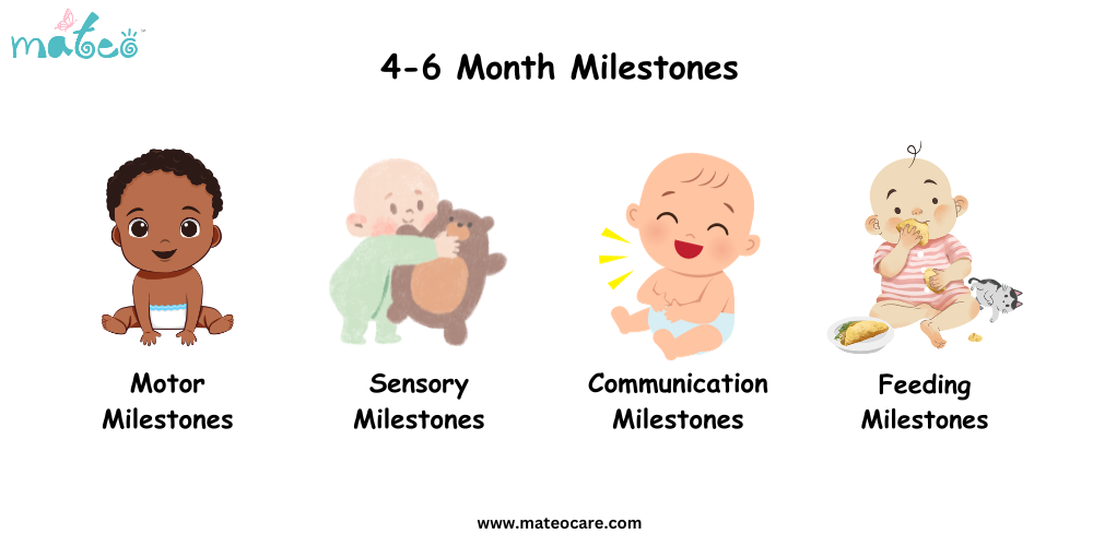 4-6 Month Milestones