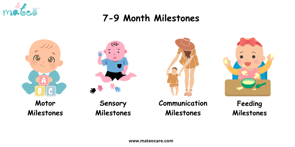 7-9 Month Milestones