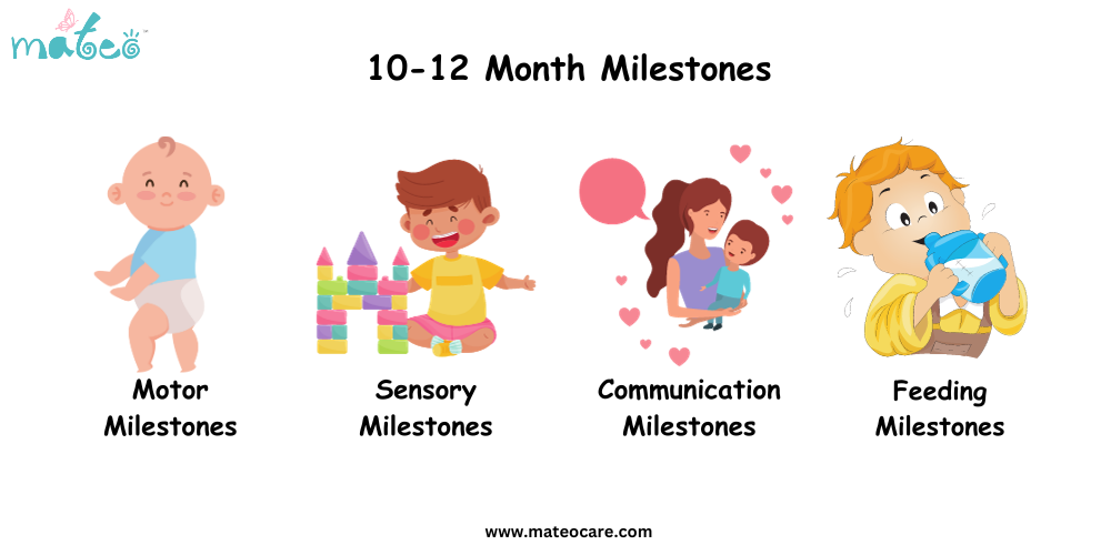 10-12 Month Milestones